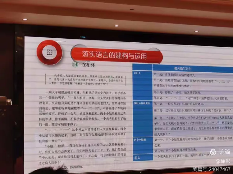 二亩半地一根豆角是什么生肖的全面释义、解释与落实、构建解答解释落实