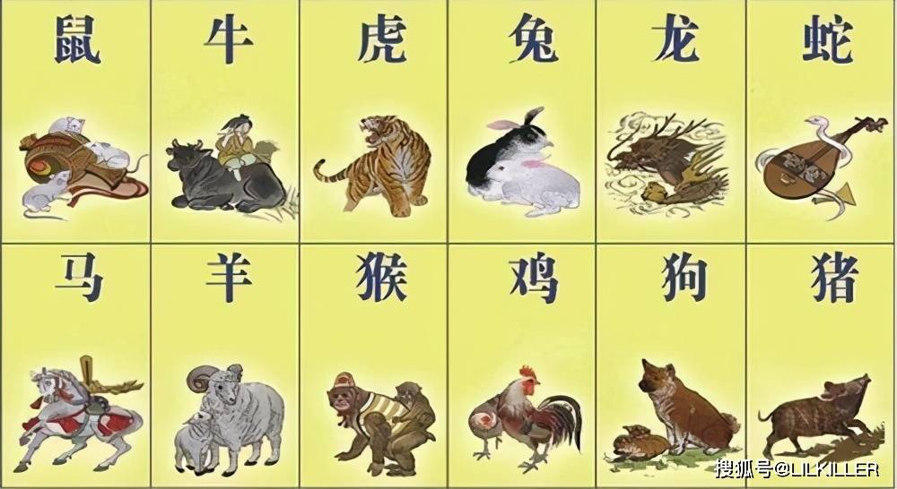 金钱路地石成八，羊前鼠后狗中彩打一个正确生肖的警惕虚假宣传-全面释义、深度解答解释落实