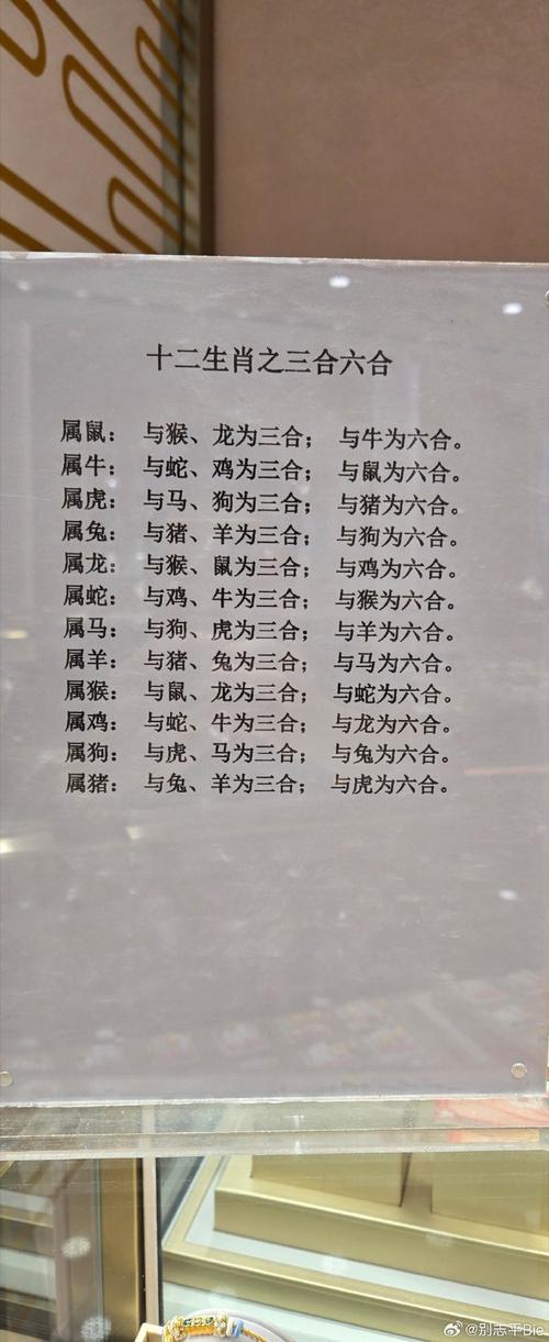 八合九并看一五二六倒合并三八欲钱去买四海是什么生肖详细解答、构建解答解释落实