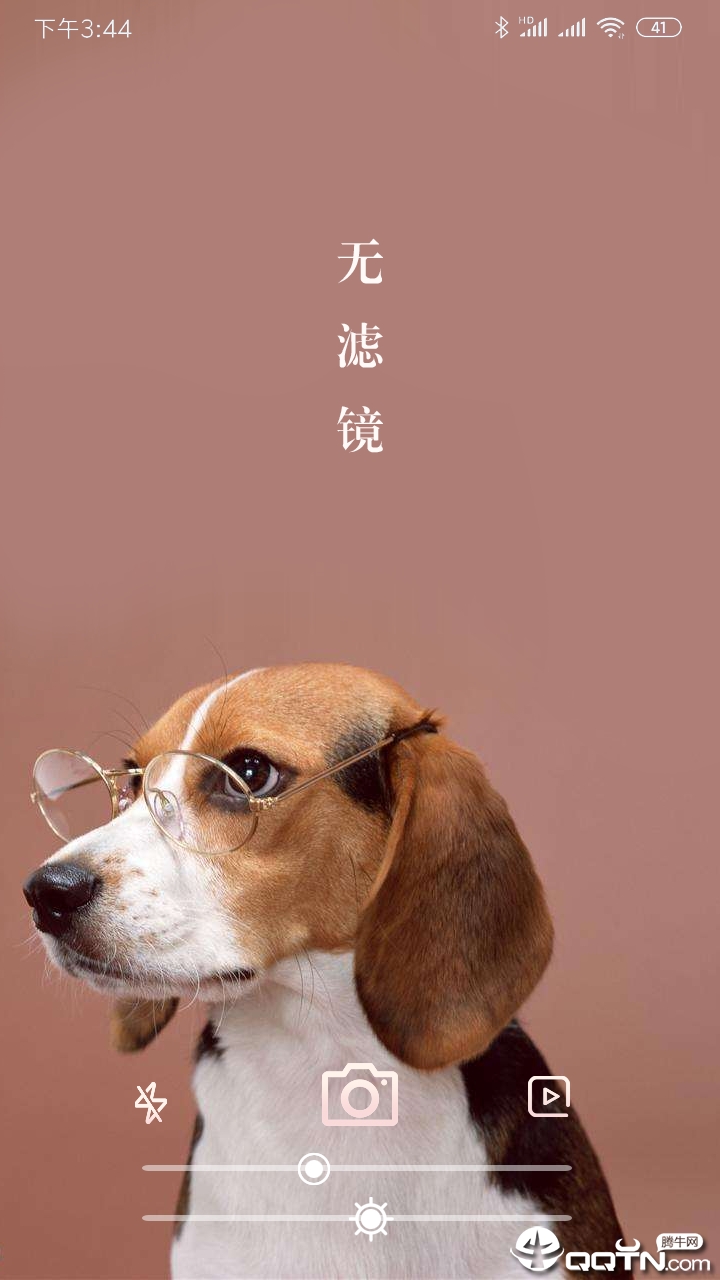 金钱路地石成八，羊前鼠后狗中彩打一个正确生肖的警惕虚假宣传-构建解答解释落实