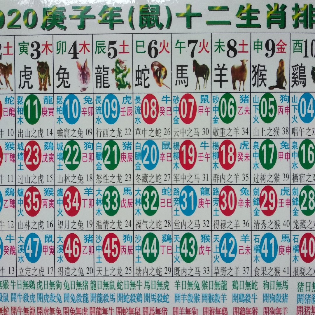 今期生肖二六开，三省吾身自洁身打一精准生肖精选解析、解释与落实、实证解答解释落实