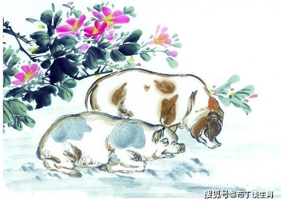 看準機會，擇肥而噬，快人一步定富貴打一精准生肖，全面释义、科学解答解释落实