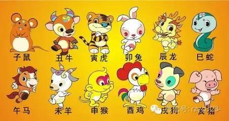 金钱路地石成八，羊前鼠后狗中彩打一个正确生肖的警惕虚假宣传-全面释义、深度解答解释落实
